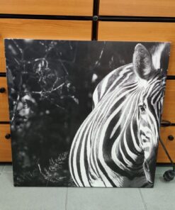 !ΠΡΟΣΦΟΡΑ! CRYSTAL AUDIO Εκτυπωμένο Πάνελ Υπέρυθρης Θέρμανσης 250W Zebra